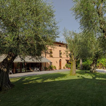 Agriturismo Ripa Del Bosco Capriolo Kültér fotó