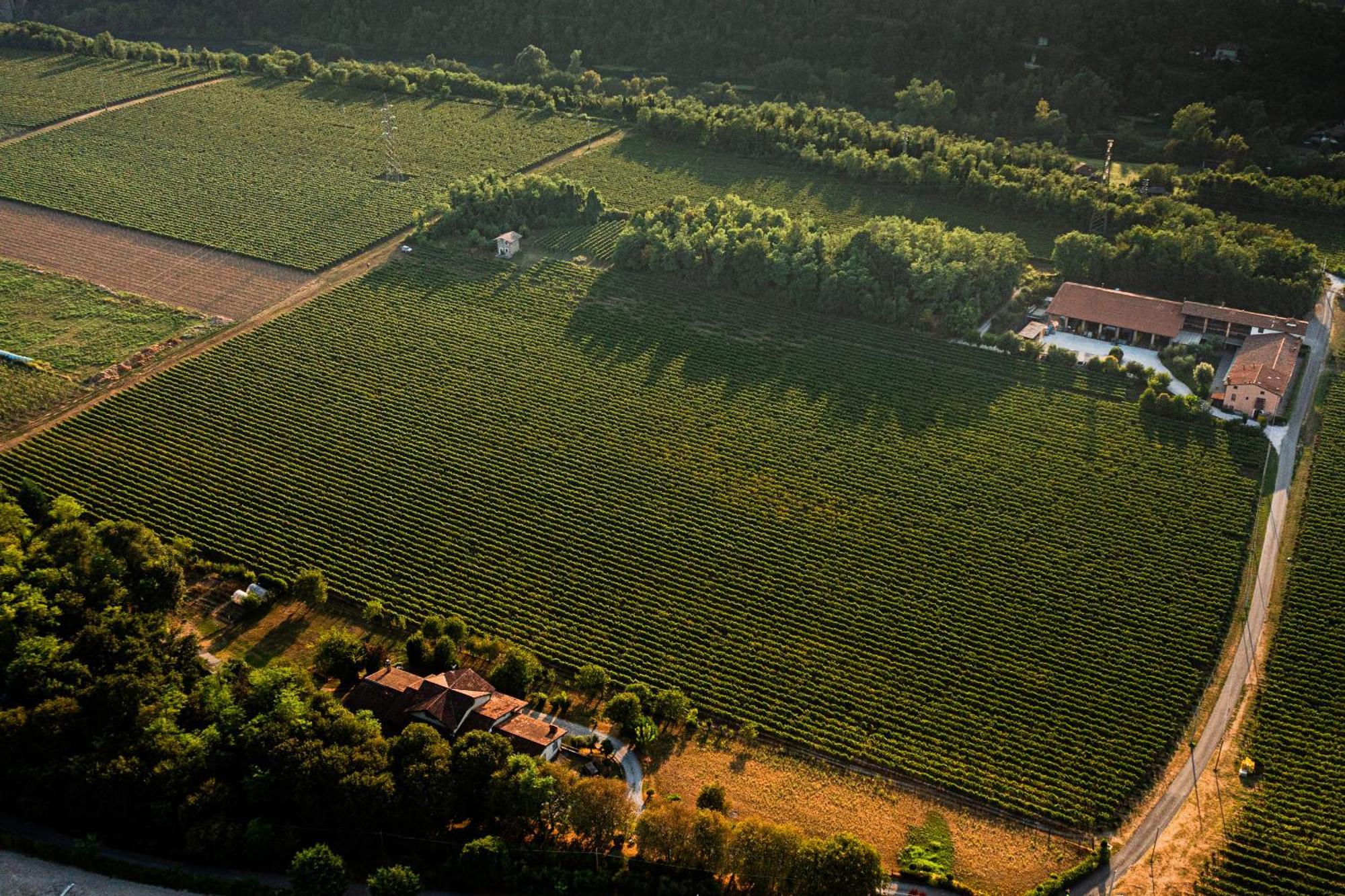 Agriturismo Ripa Del Bosco Capriolo Kültér fotó